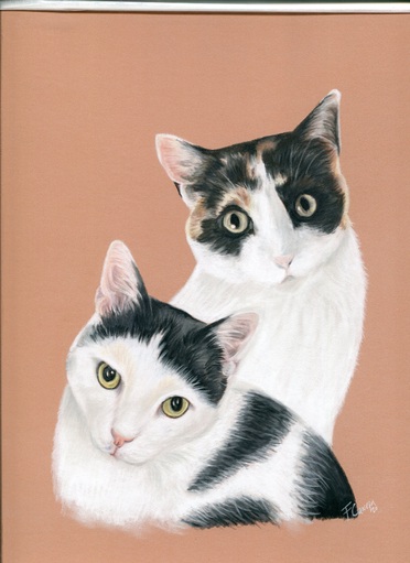 Dibujo de dos gatos, dos sujetos