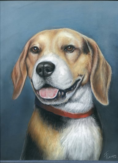 Dibujo perro, un sujeto
