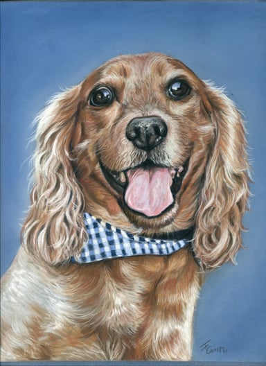 Dibujo de Bowie, un perro con un pañuelo azul