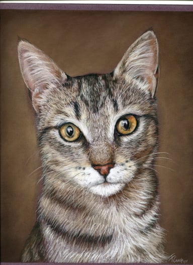 Dibujo de Briso, un gato atigrado
