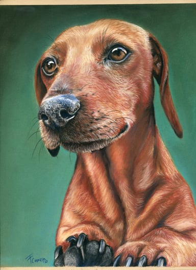 Dibujo perro, un sujeto
