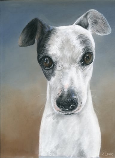 Dibujo perro, un sujeto