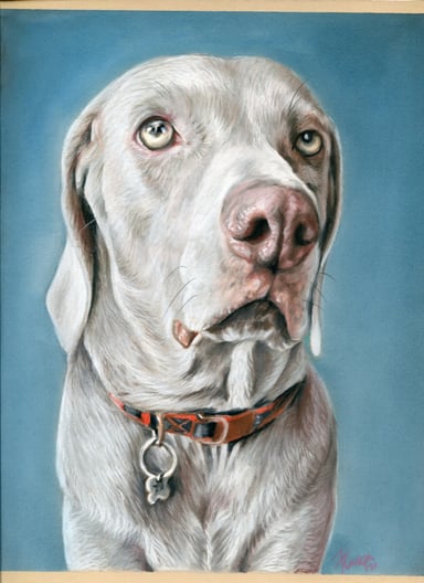 Dibujo de Malu, un perro