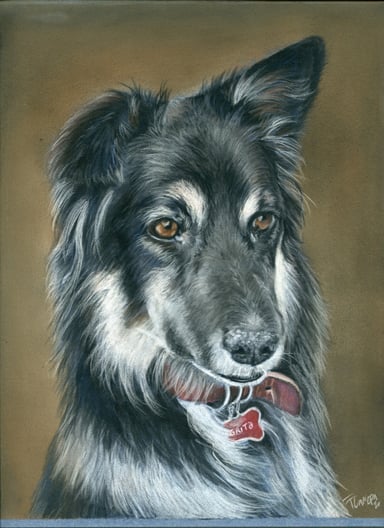 Dibujo perro, un sujeto