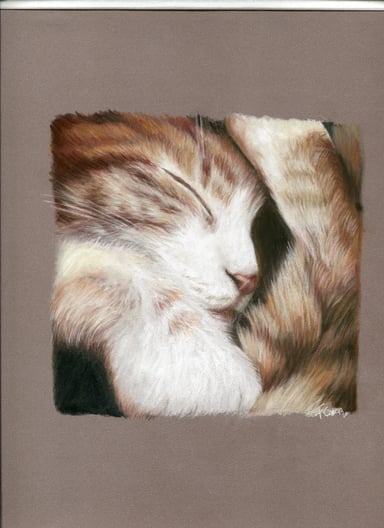 Dibujo gato, un sujeto
