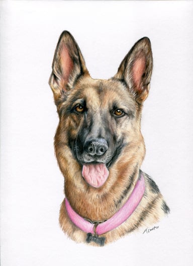 Dibujo perro, un sujeto