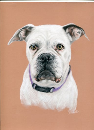 Dibujo perro, un sujeto