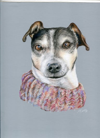 Dibujo perro, un sujeto