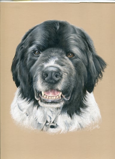 Dibujo perro, un sujeto