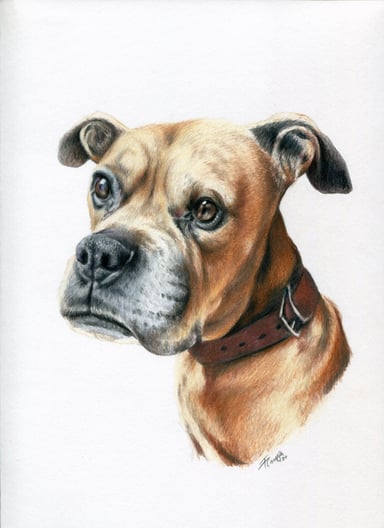Dibujo perro, un sujeto