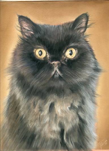 Dibujo gato, un sujeto