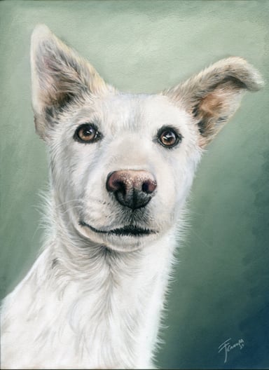Dibujo perro, un sujeto