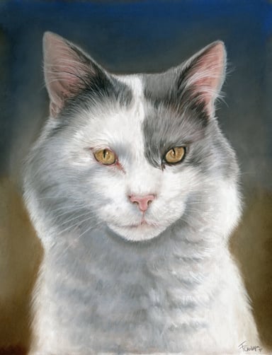 Dibujo gato, un sujeto